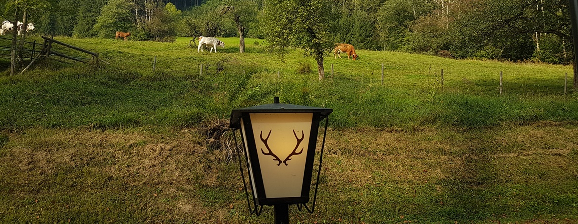 Schlosstaverne Lunz am See