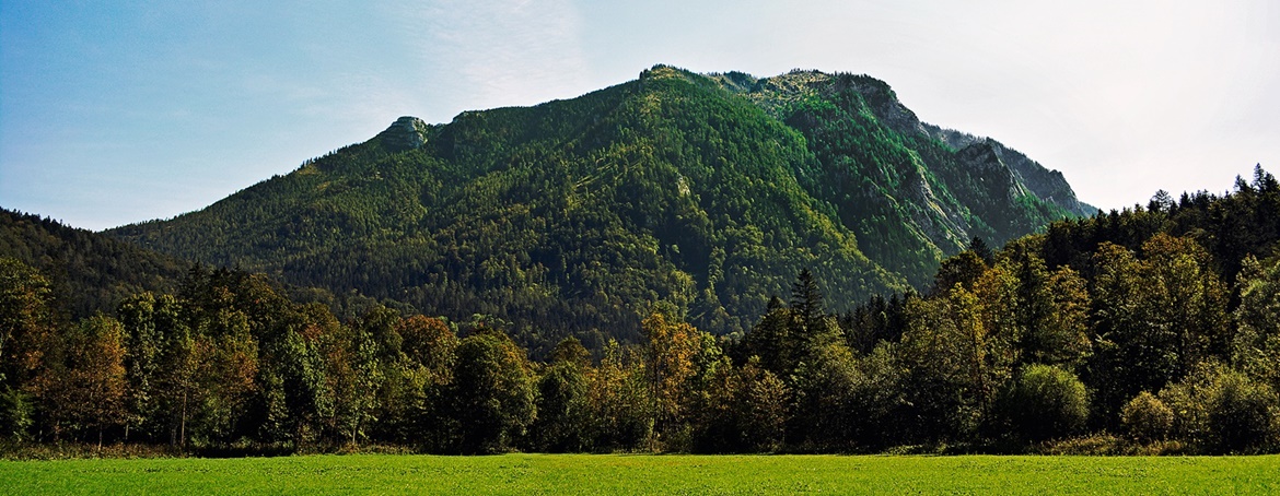 Scheiblingstein