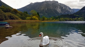 Lunz am See